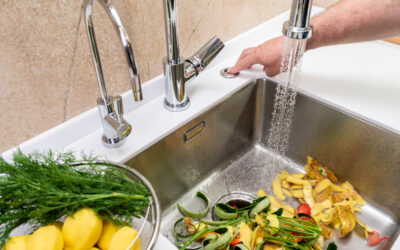 Garbage Disposal Wisdom for the Summer Holiday Chef