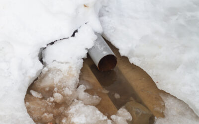 Preventing Clogged Drains This Holiday Season