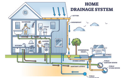 What Happens to Wastewater After It Leaves Your Sink